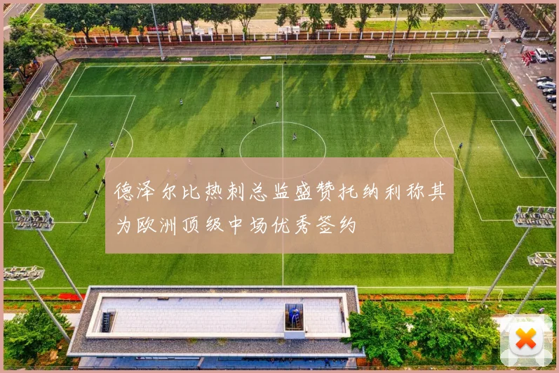德泽尔比热刺总监盛赞托纳利称其为欧洲顶级中场优秀签约
