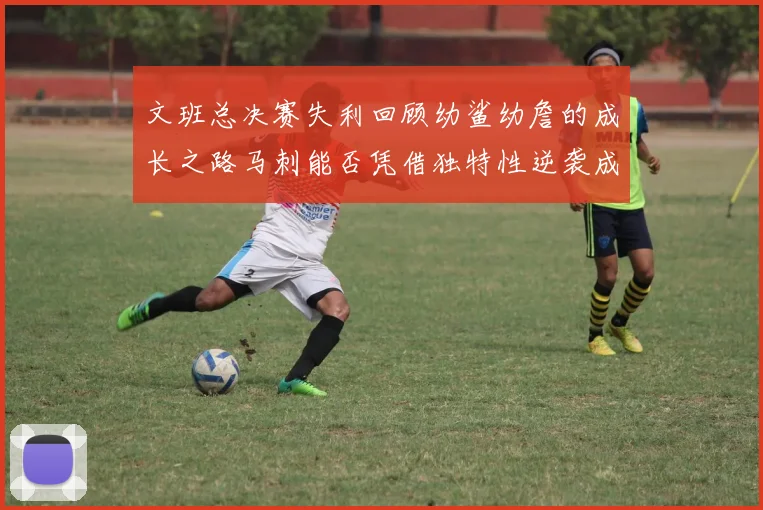 文班总决赛失利回顾幼鲨幼詹的成长之路马刺能否凭借独特性逆袭成功