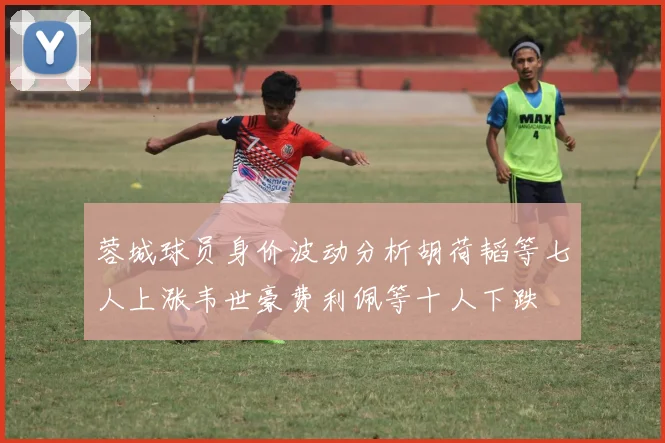 蓉城球员身价波动分析胡荷韬等七人上涨韦世豪费利佩等十人下跌
